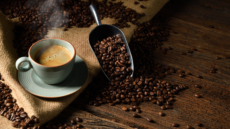 Miscela Drink Store -Miscela Drink Store intro 1711728110